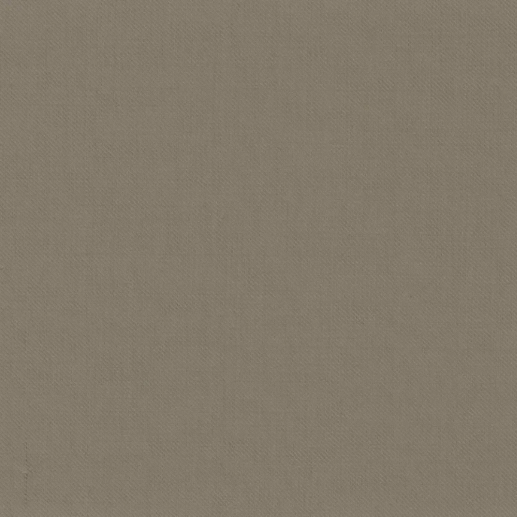 Gray Olive Solid