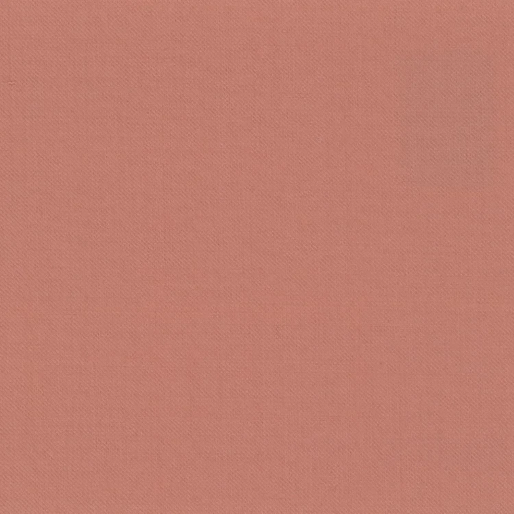 Salmon Solid