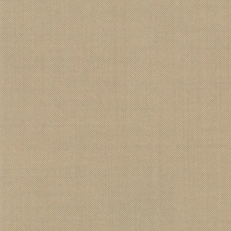 Gray Solid
