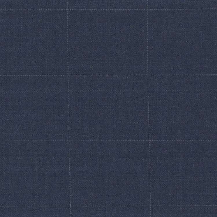 Blue with Silver Check