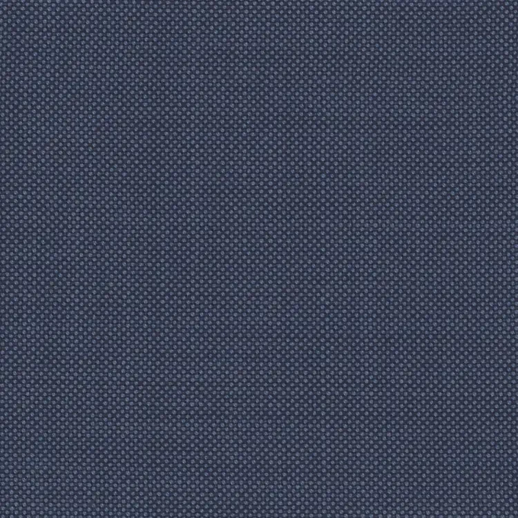 Cool Blue Birdseye