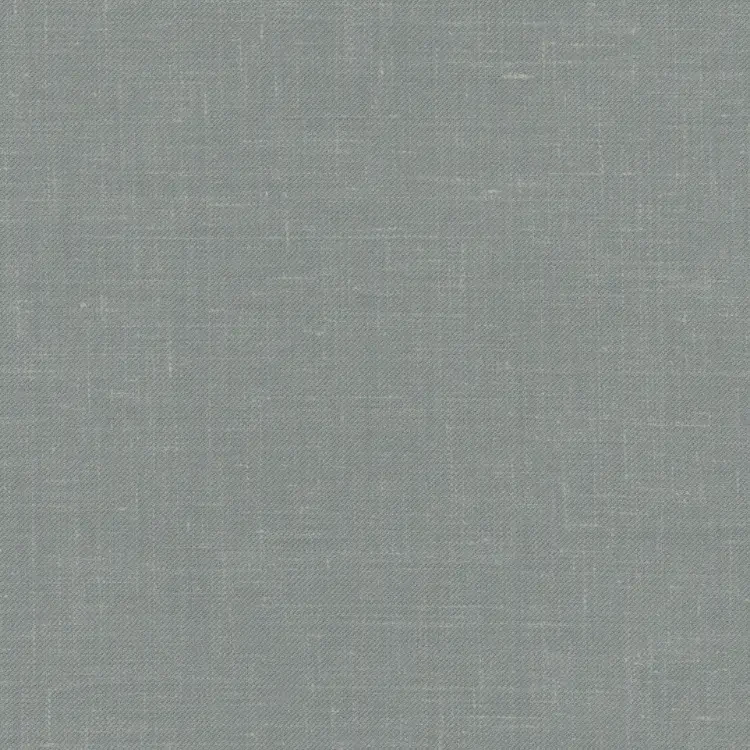 Light Gray Solid