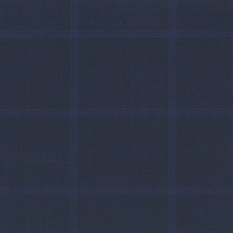 Navy with Blue Check