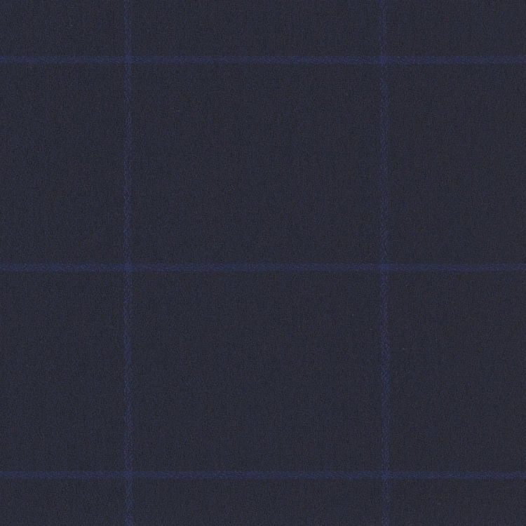Navy with Light Blue Check