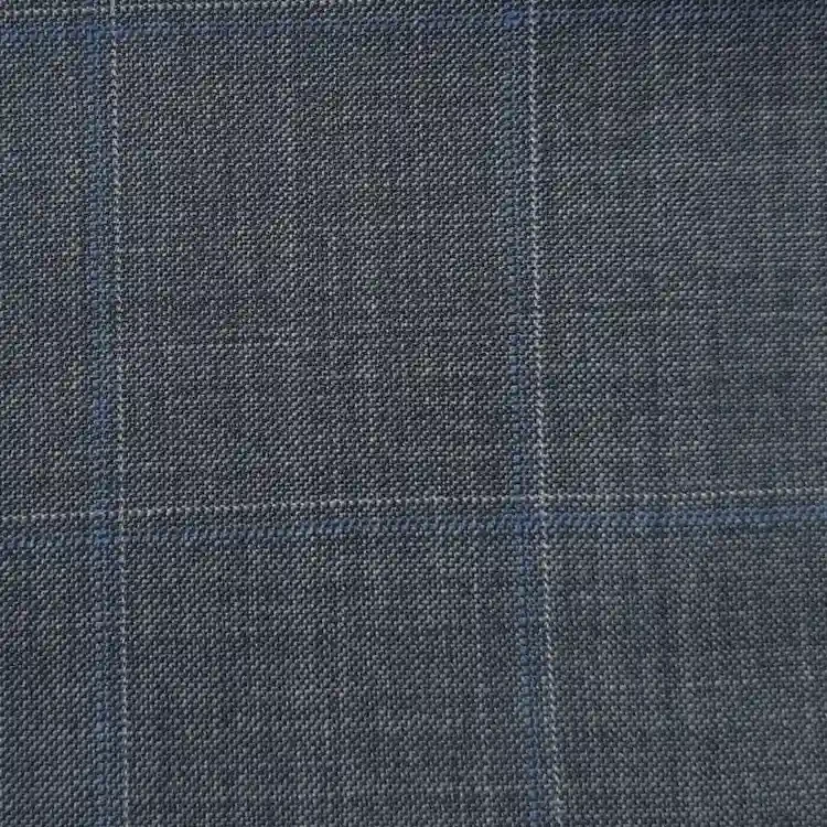 Gray with Blue and Light Gray Windowpane