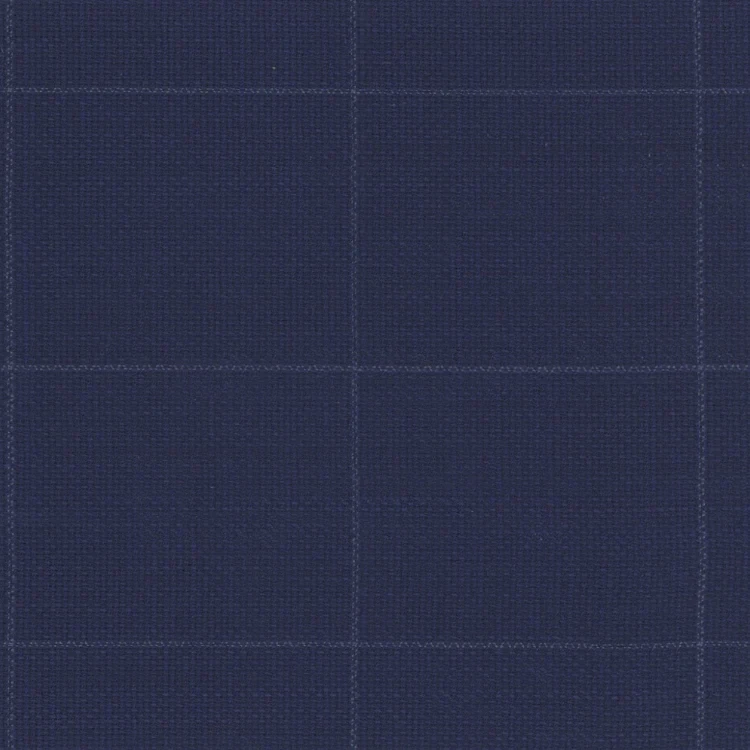 Royal Blue with Light Blue Check