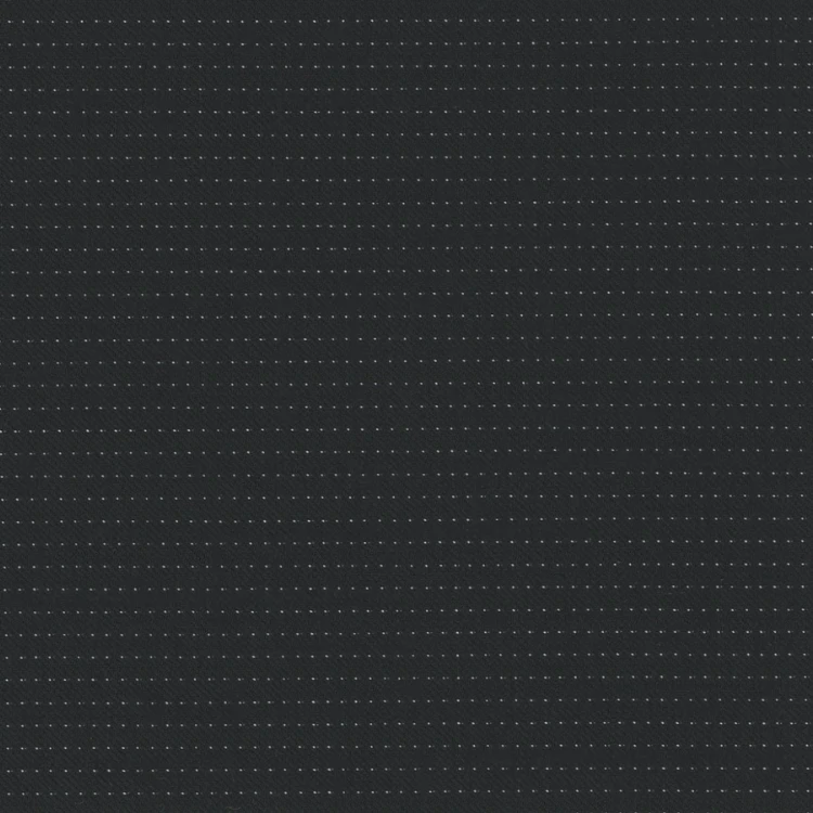 Black with Light White Dot Stripes