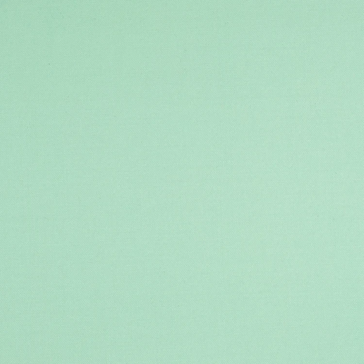 Mint Green Solid