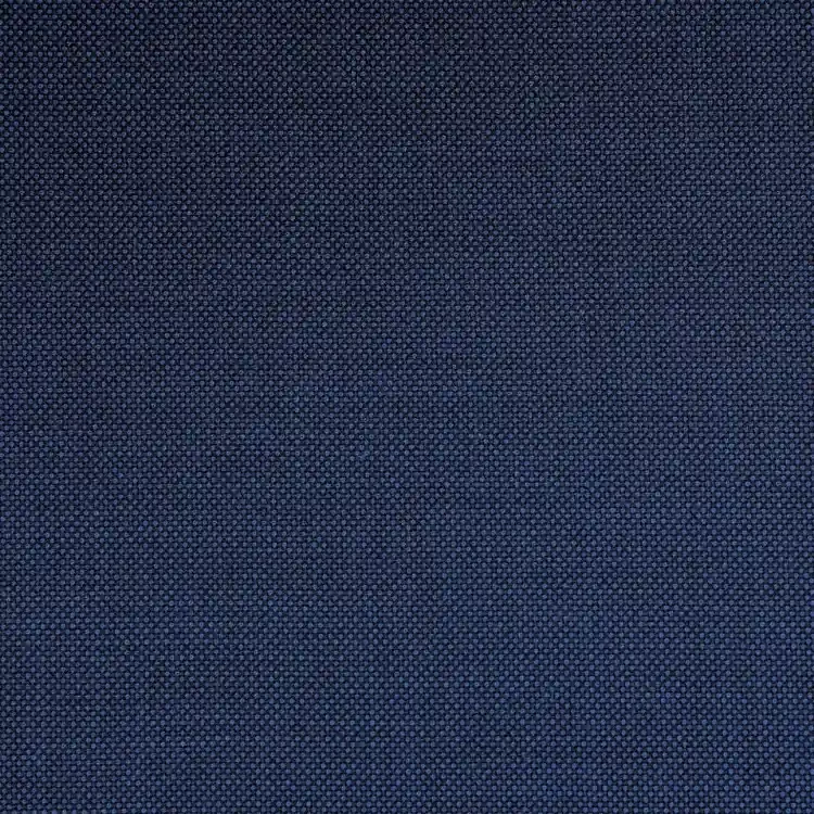 Prussian Blue Birdseye
