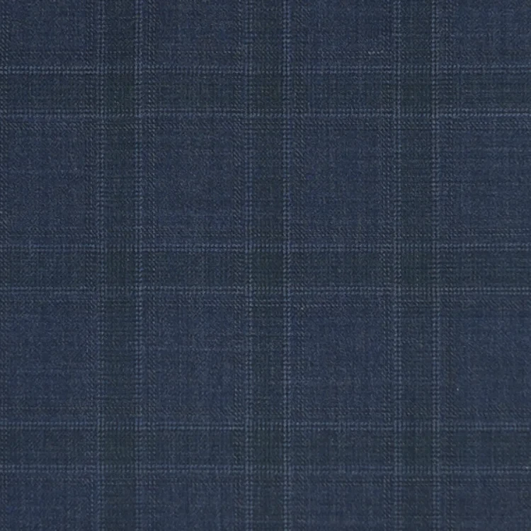 Navy Check