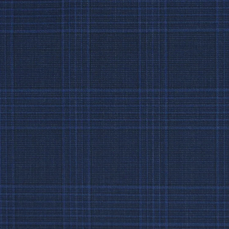 Navy Blue Check