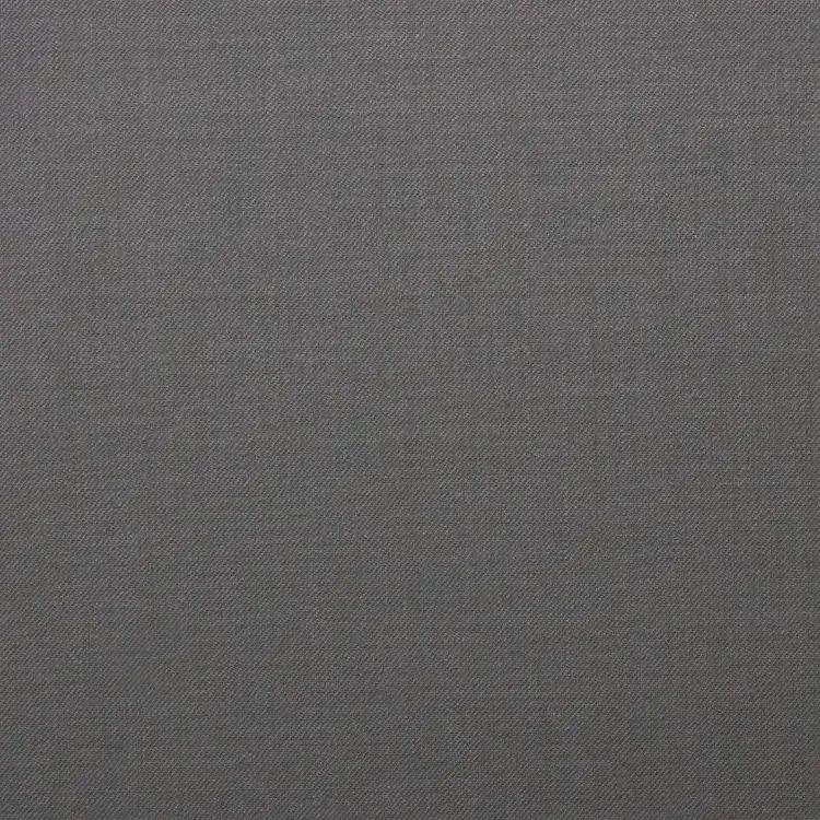 Light Gray Solid