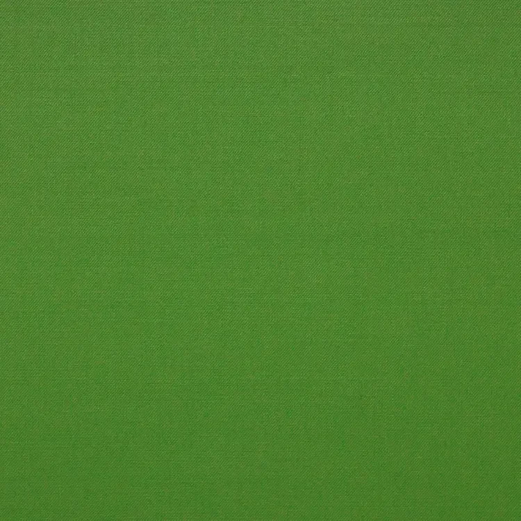 Bright Green Solid