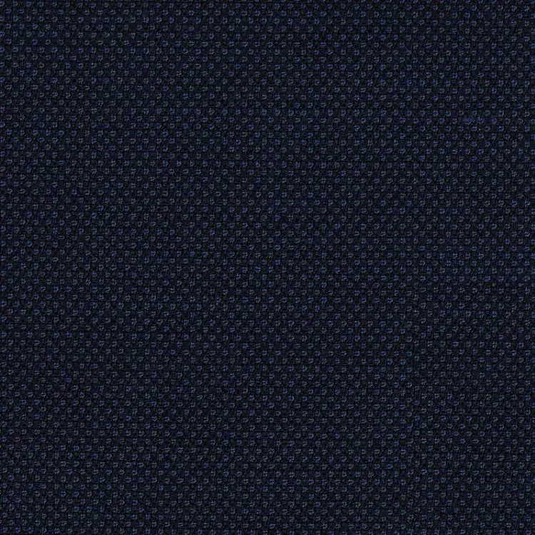 Navy Birdseye