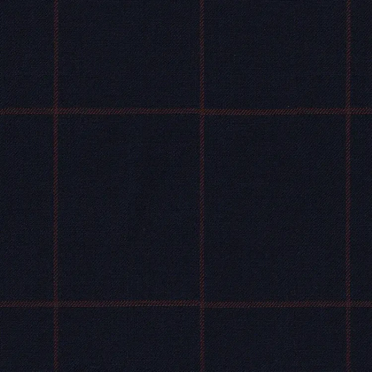 Navy with Red Check