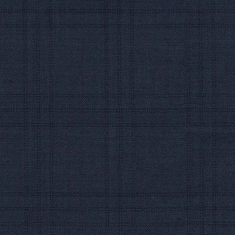 Blue with Navy Check