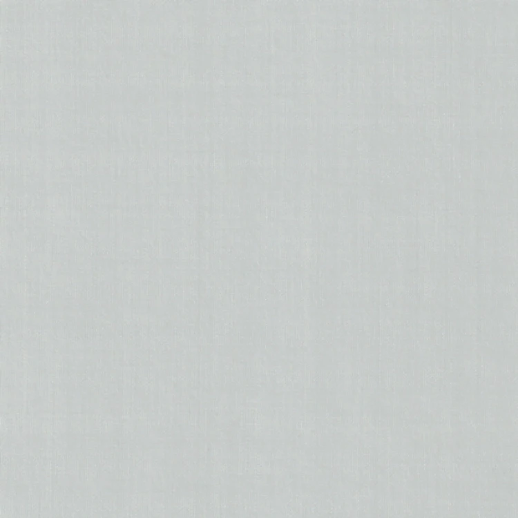 Silver Gray Plain