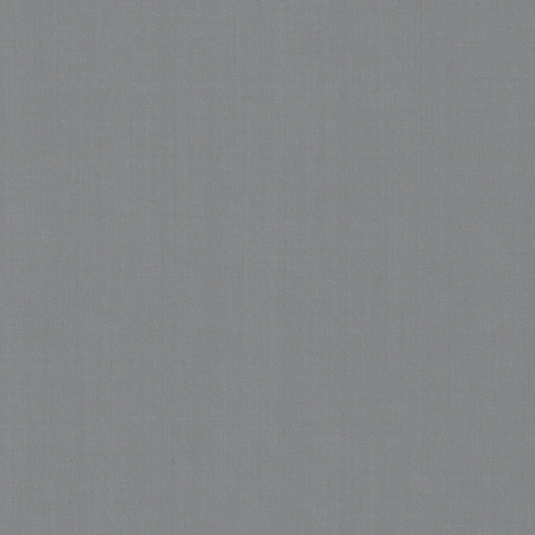 Ash Gray Plain