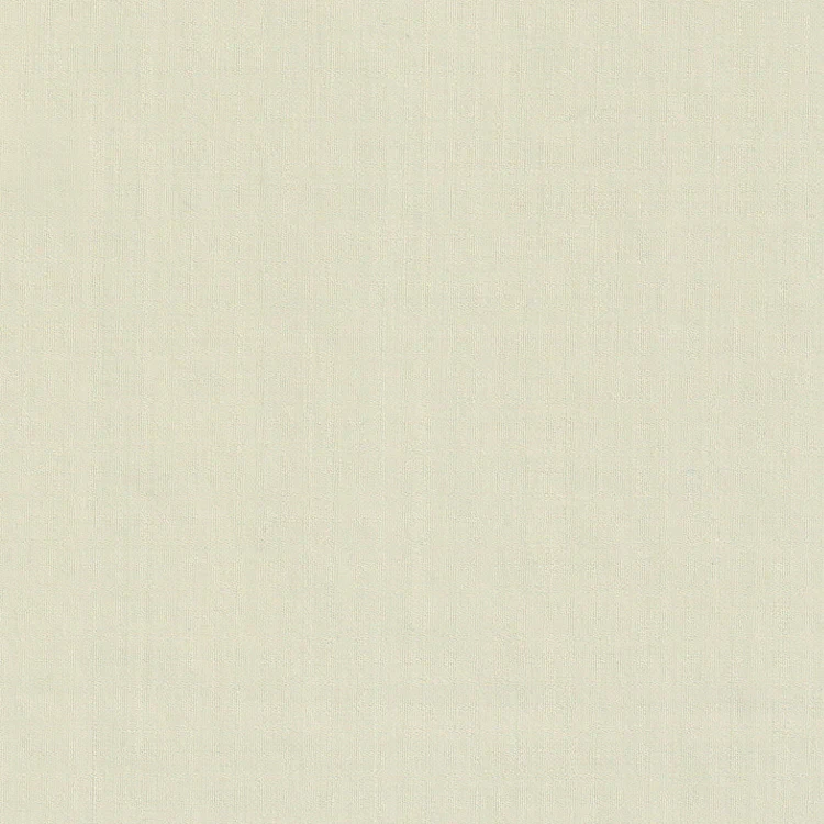 Baja White