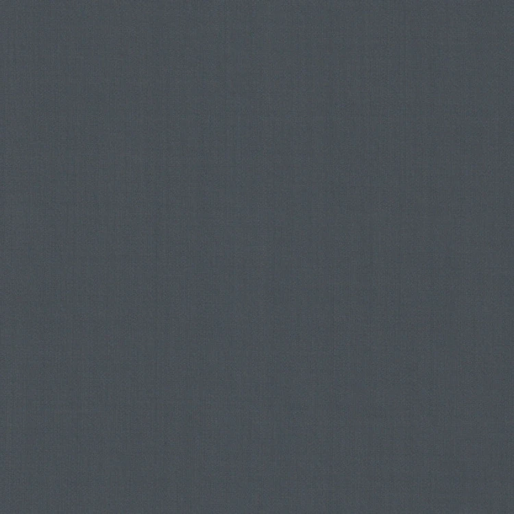 Steel Gray Plain