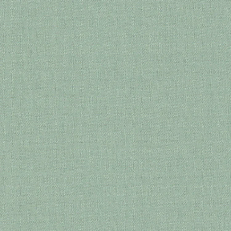 Light Sage Green Plain