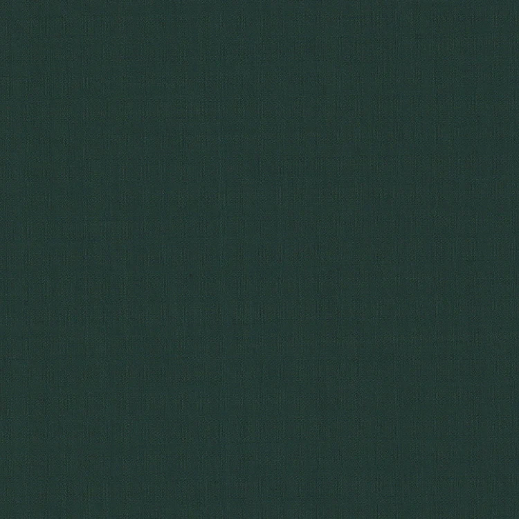 Tropical Rainforest Plain
