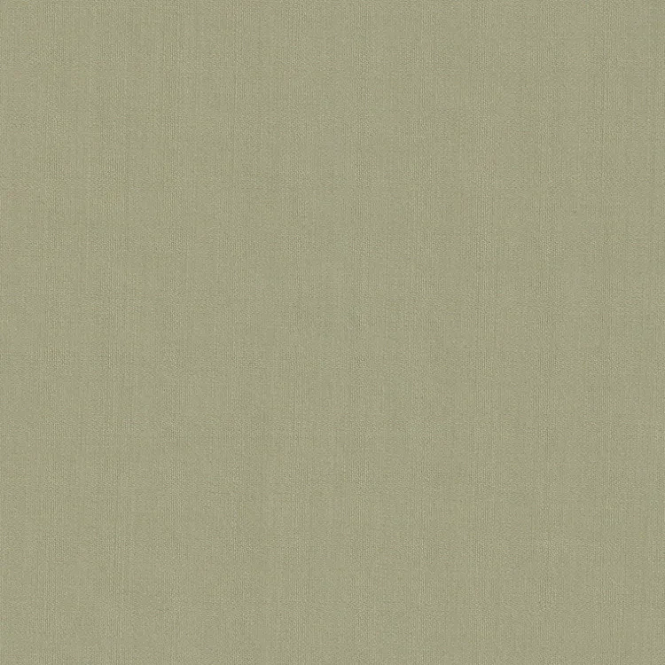 Tan Plain