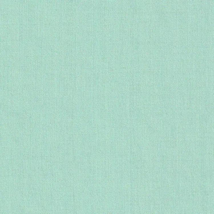 Mint Plain