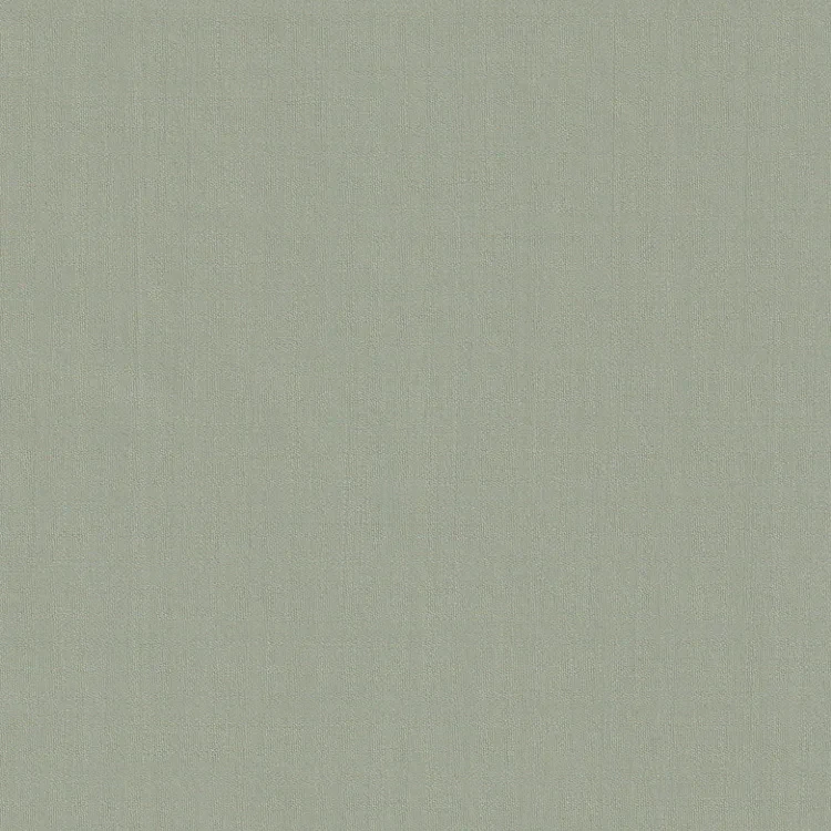 Beige Plain