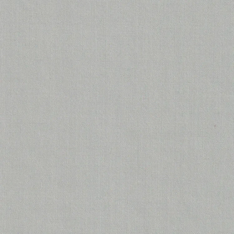 Pastel Gray Plain