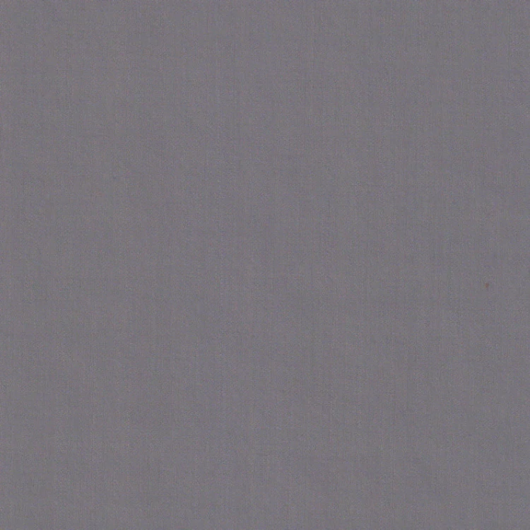 Taupe Gray Plain