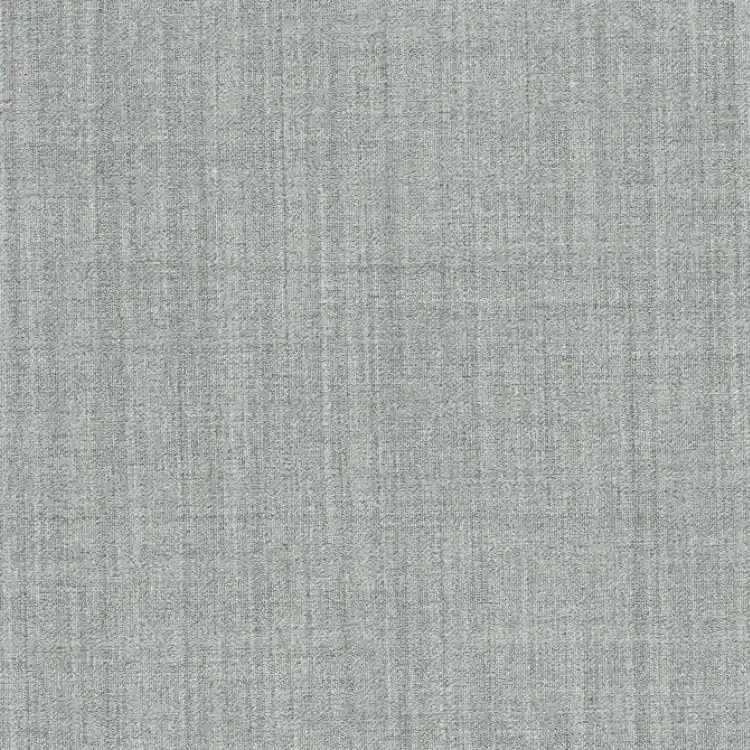Light Gray Plain