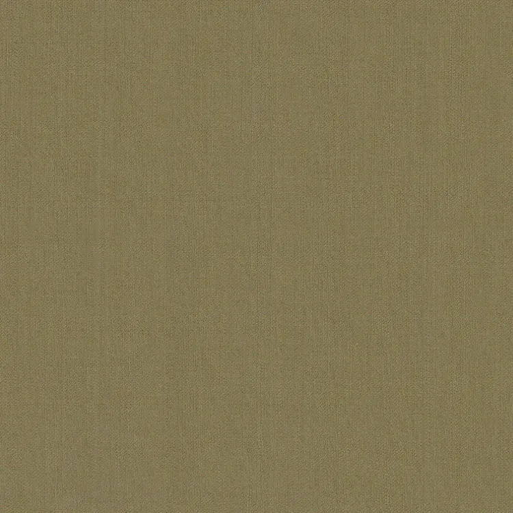 Camel Plain