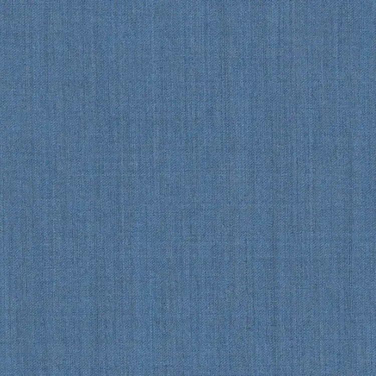 Cool Blue Plain