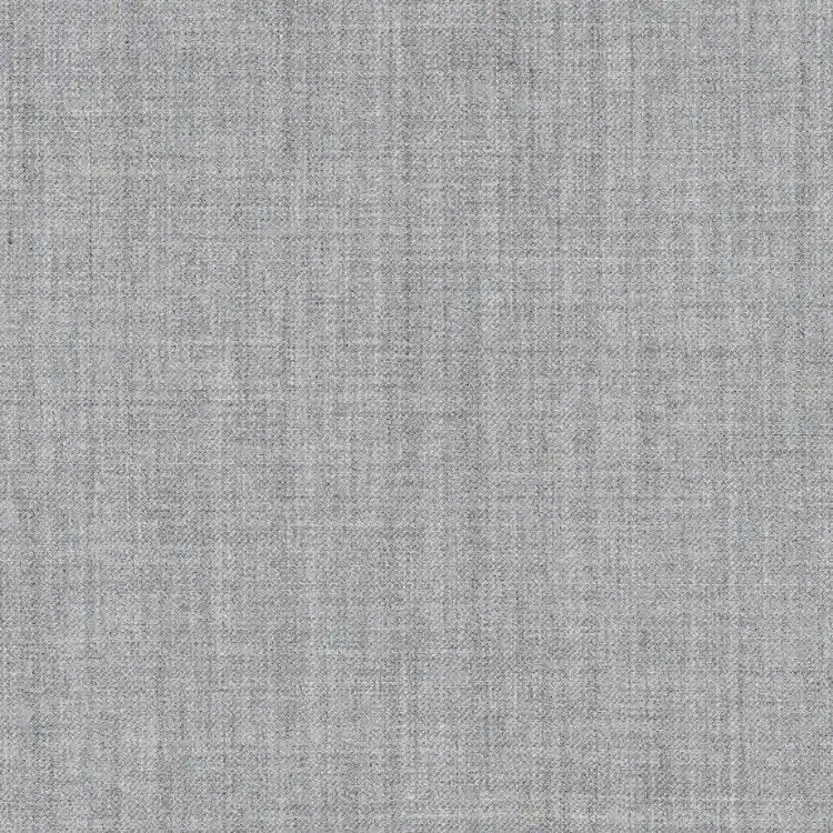 Light Gray Solid