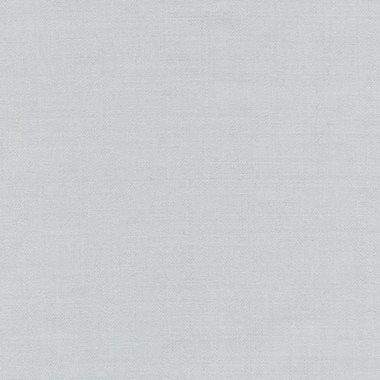Silver Gray Solid