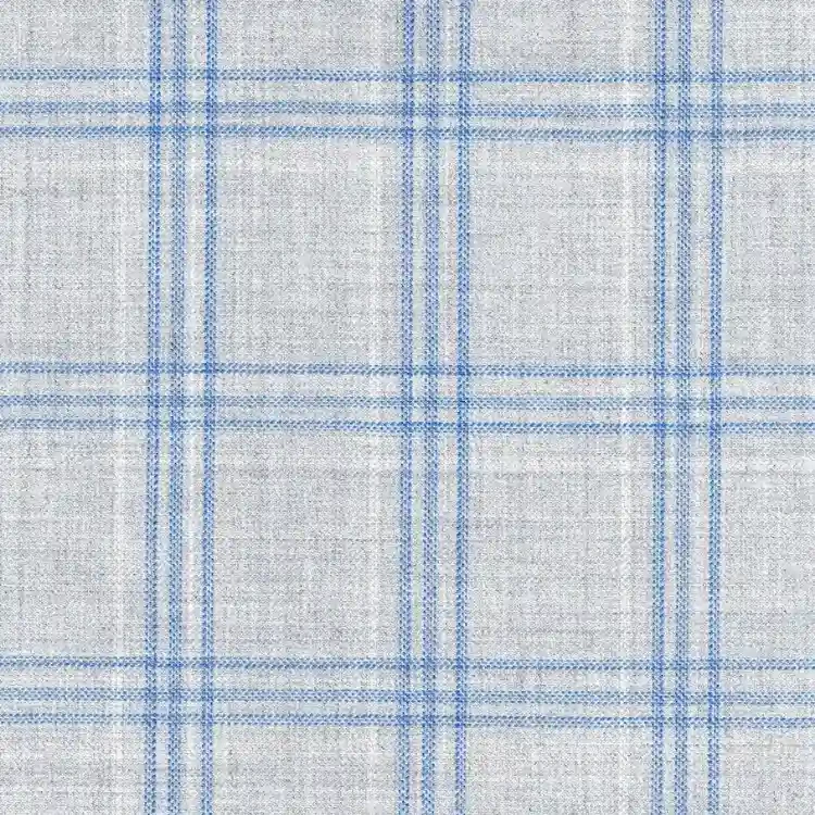 Silver Gray with Blue Check