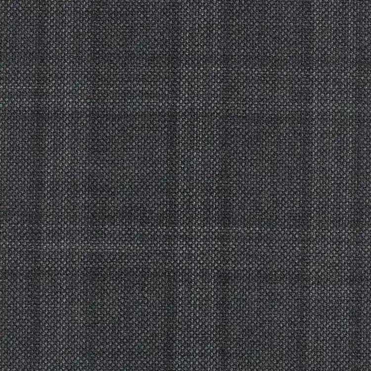 Charcoal Gray with Black and White Check