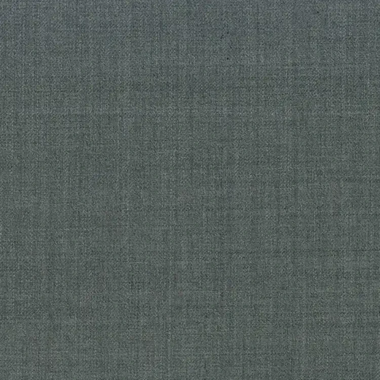Light Gray Solid