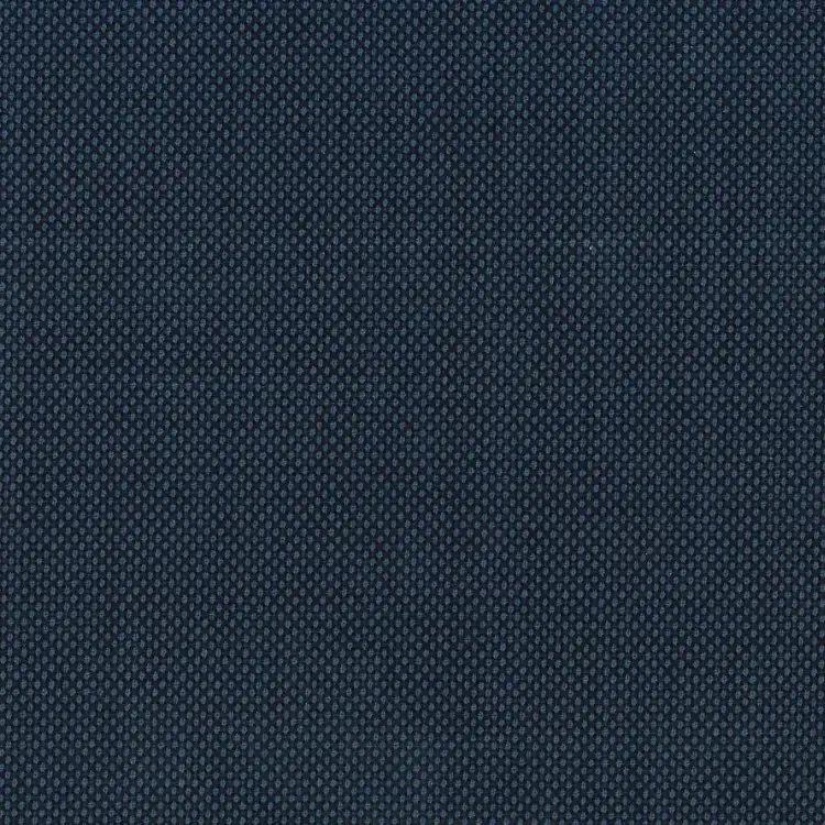 Steel Blue Birdseye