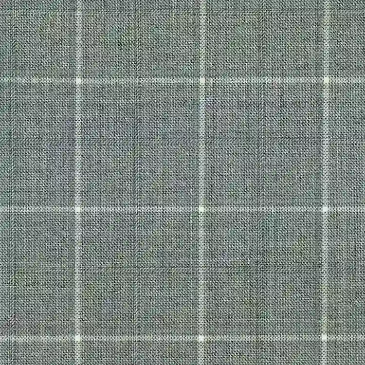 Light Gray Check