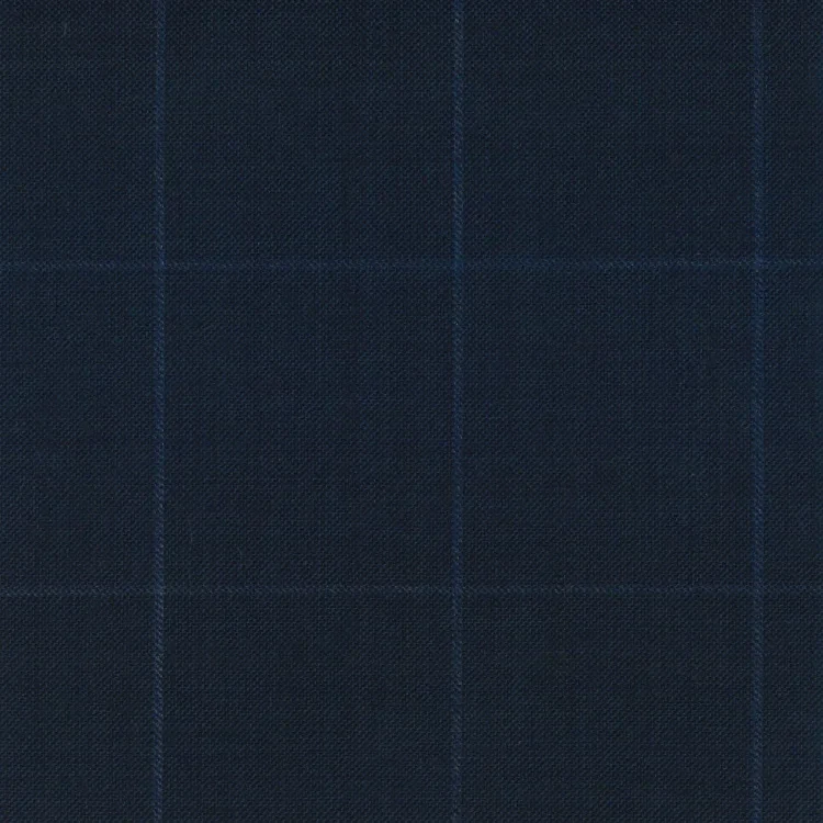 Navy Check