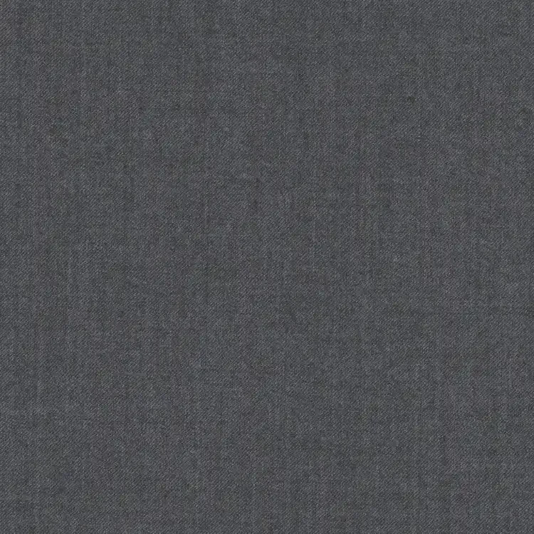 Light Gray Solid
