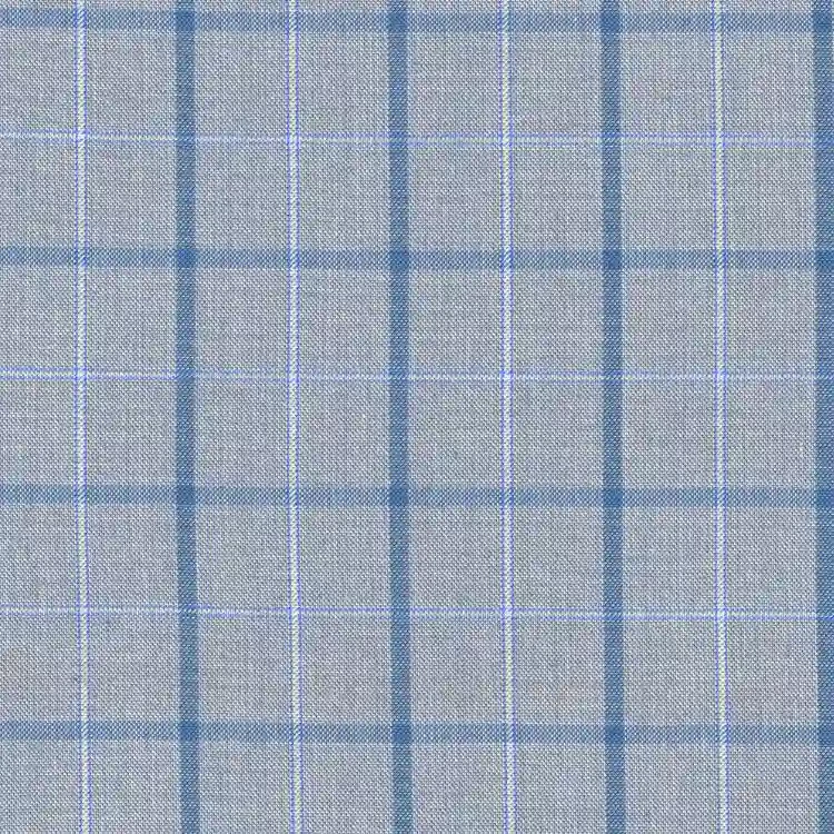 Light Gray with Blue Check