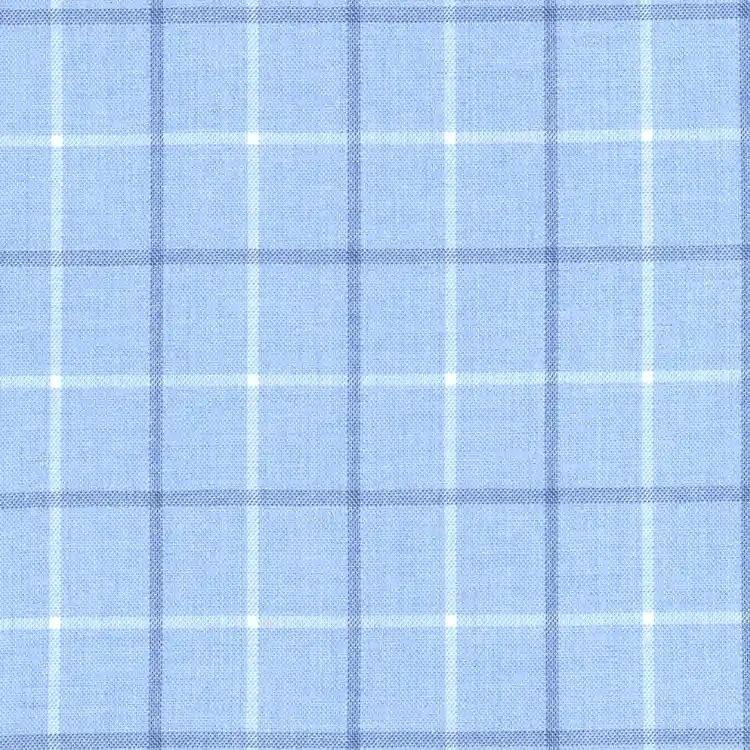 Dusty Light Blue with White and Navy Windowpane