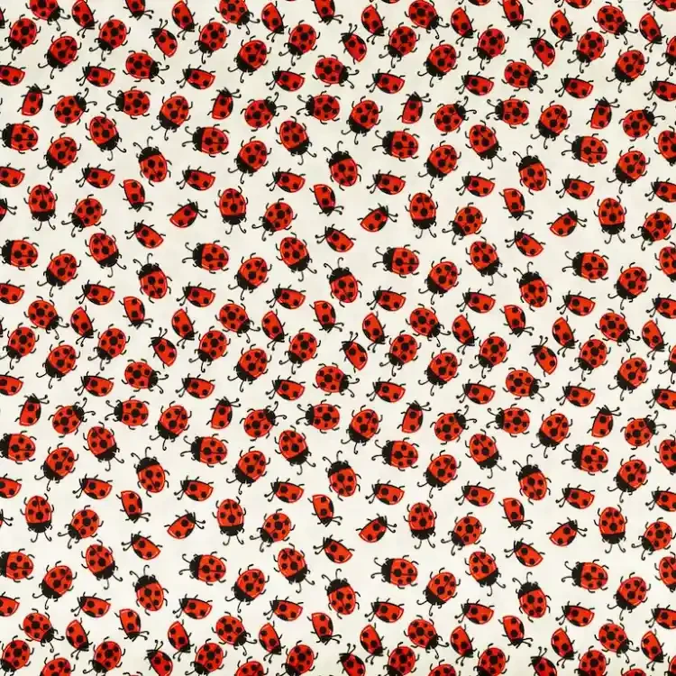 Ladybird Print