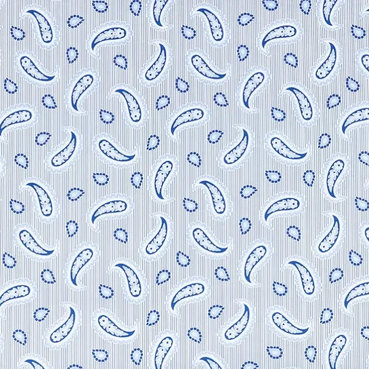Light Blue and White Stripes with Floral Paisley Print