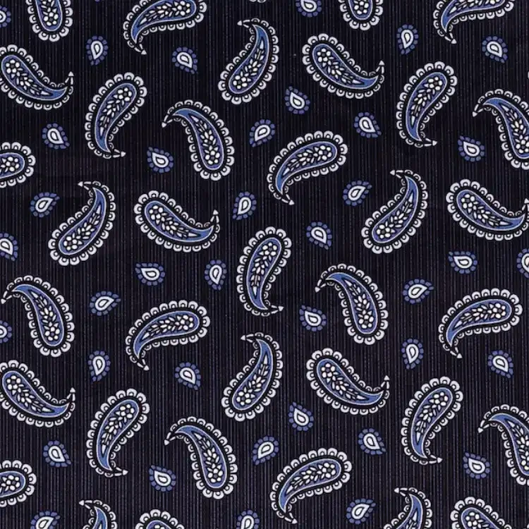 Black and Navy Stripes with Floral Paisley Print