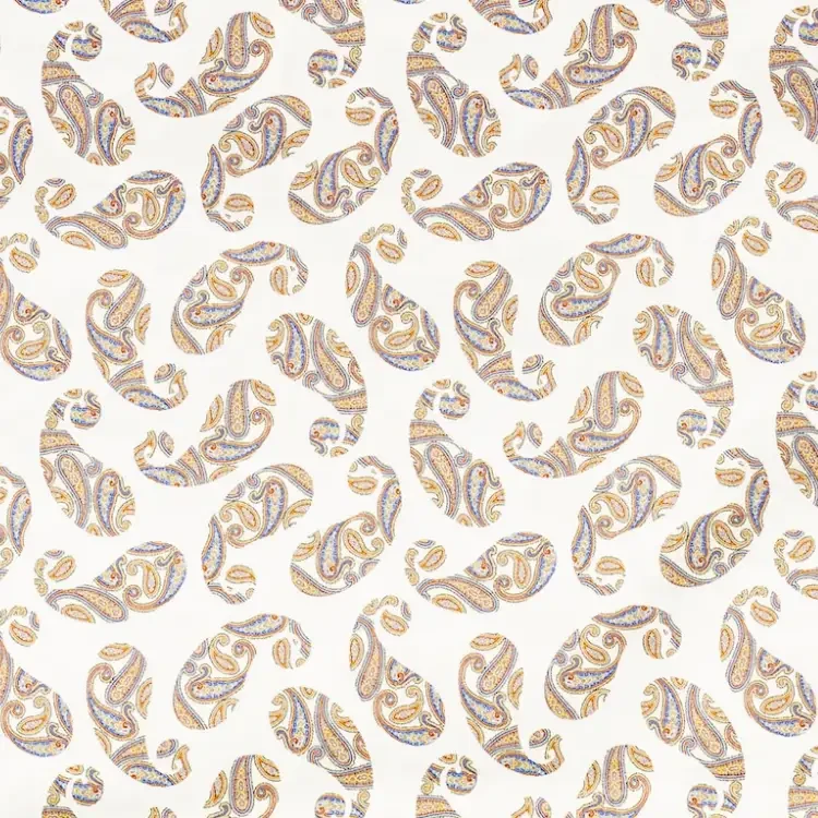 Beige with Multicolor Paisley Print