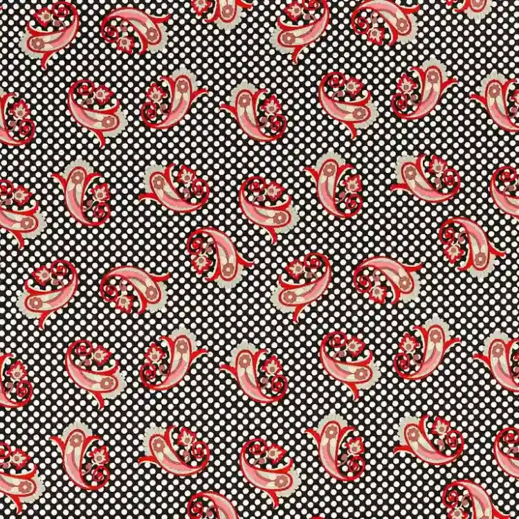 Black with White dots and Red Paisley Print